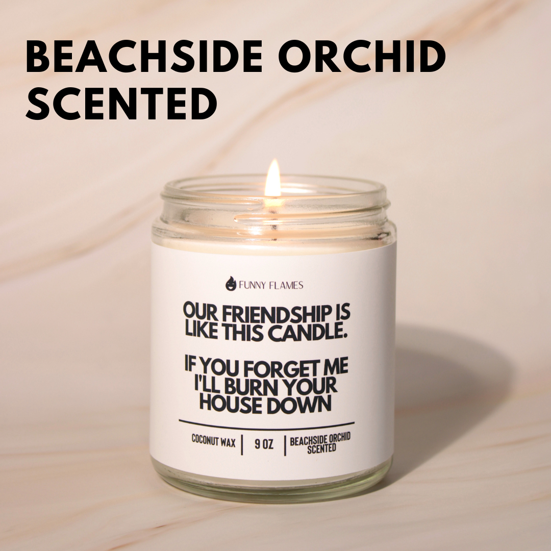 Our Friendship Is Like This Candle if you forget about me i'll burn your house down