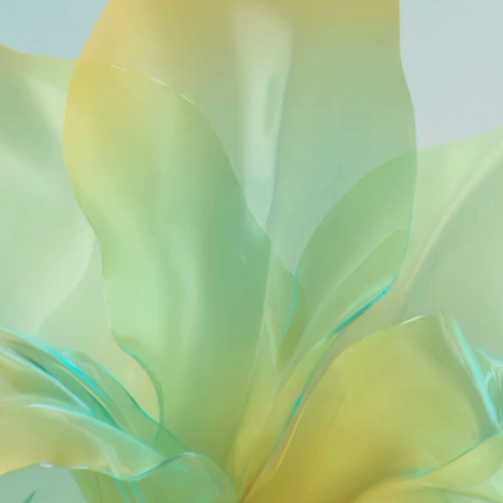 Organic Pumpkin Shea Sugar Body Scrub – Fall Scented Exfoliator for Glowing, Smooth Skin