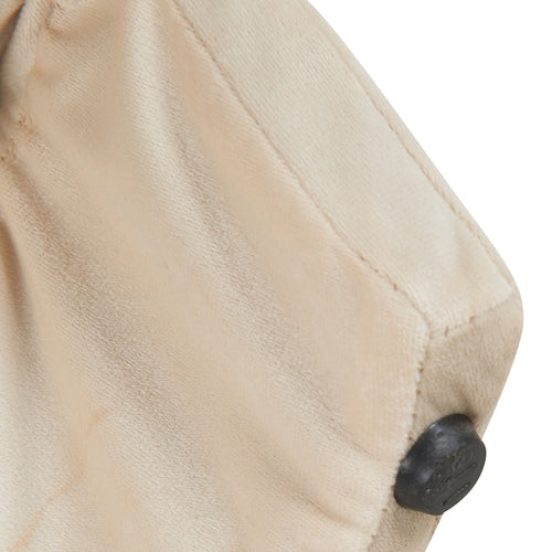 Furniture Style 2 in 1 Pet Friendly  Modern Velvet Lounge Chair,